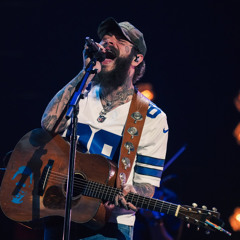 post malone - never love you again