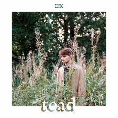 EiK - TEAD (kaasas Maris Pihlap & Mattias Tirmaste)