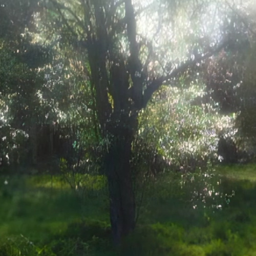 Tulip Trenches - Memorypark 🍀🔋🧶⛳🧩 " ANYTHING " 💽→ soon