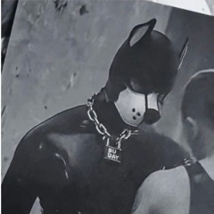 PnP in HERRENSAUNA (go harder daddy remix) .mp3