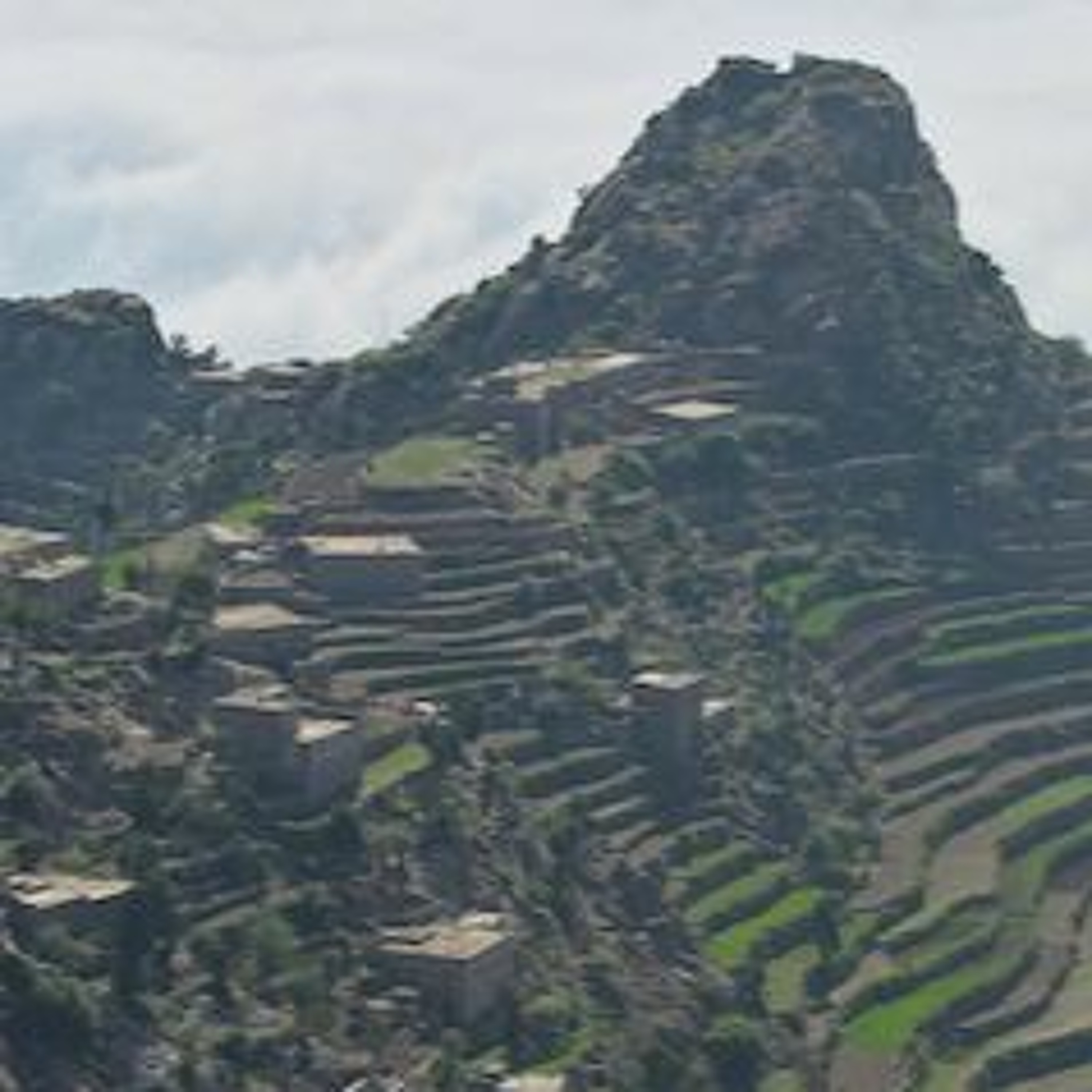 Does the Arab Region have an Agrarian Question?: Max Ajl on Blind Spots in Agrarian Studies episode artwork