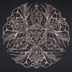 Psychose [Live Xtract]