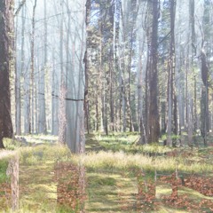 on my own prod ohsaith