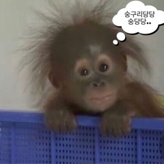 Untitled playlist