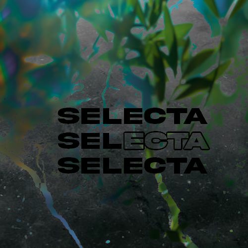 Foggy - Selecta [BUY = FREE DOWNLOAD]