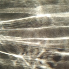 SeeSure BasicVersion03