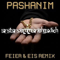 Pashanim - erstersommerohnedich (FEIER & EIS Remix)