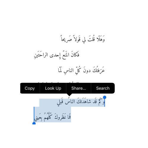 إلى عَينَيهِ تَنتَسِبُ المَنايا.. كما انتَسَبَ الرِماحُ إِلى رُدَينِ.