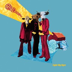 Brandy in the Airidh