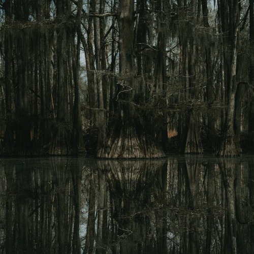 [Forest / Darkpsy ] woodnymph´s calling (155BPM)