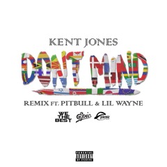 Don't Mind (Remix) [feat. Pitbull & Lil Wayne]