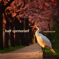 halF cormoranT [naviarhaiku539]