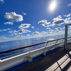 made this on a cruise in like 10 mins (haiku)