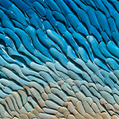 Stomp It in the Sand!