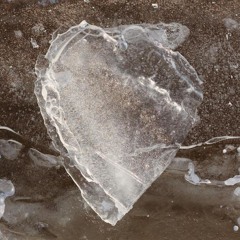 FYHOD