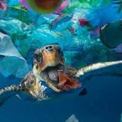 Destroyers Of Oceans