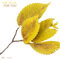 Joe Silva - For You