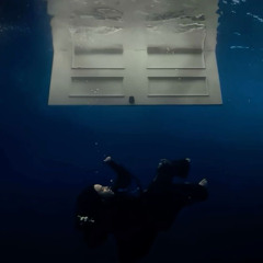 WildFlower - BILLIE EILISH (Backing Vocal Short Cover)