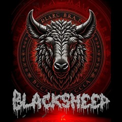 Bauchnabelpiercing (Blacksheep Zaagkick Remix)