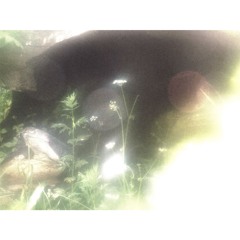 yujin - wishbones REMIX [ ARMAAN + BROOD ]