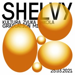 Shelvy — Kultura Zvuka Shkola Graduation Mix [Vinyl Only]