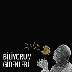 Biliyorum Gidenleri