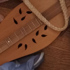 litterbox techno with shy mandolin