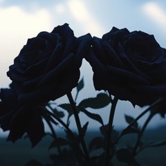 Black Roses