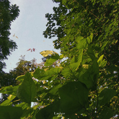 Umber