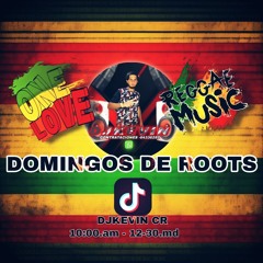ROOTS SUNDAY'S LIVES_Dj KEVIN