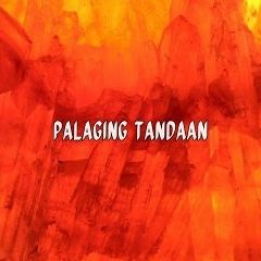 PALAGING TANDAAN - (FEAT GUDDHIST GUNATITA) (Prod by: Dony Van)