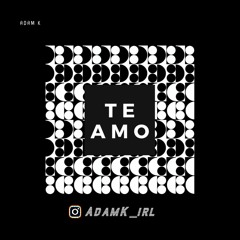 Te Amo (Remix)