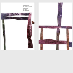 Pink Cherry Trees (feat. Jez Riley French)