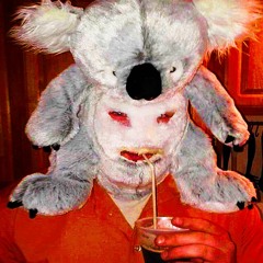 Infinite Koala Dance