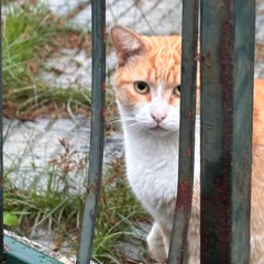 Above the nuvole (allenando il mixing)