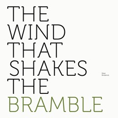 Peter Broderick - The Wind That Shakes The Bramble