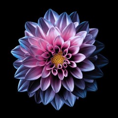 Eidorann ~ Persephone