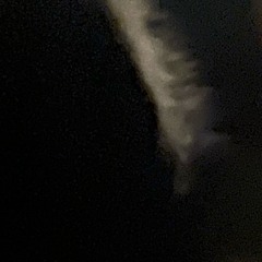 The void and I
