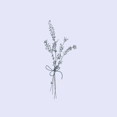 보라빛 밤 (𝒑𝒑𝒐𝒓𝒂𝒑𝒊𝒑𝒑𝒂𝒎) (sᴜɴᴍɪ) - (sʟᴏᴡᴇᴅ)