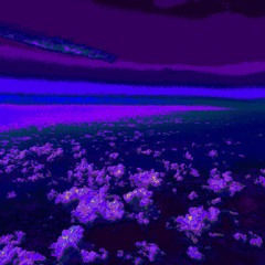 anomaly