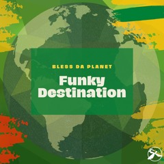 5. Funky Destination - Cosmic Lion