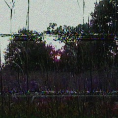 A Place I Used To Call Home