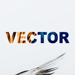 Vector
