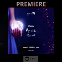 PREMIERE: Wassu - Aerobic (Bodai Remix)