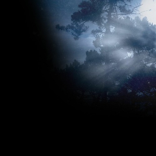 All Of Them Witches (poem & voice by Lesley Wood)
