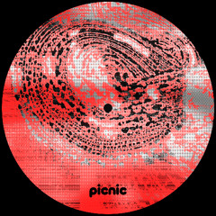 Premiere: A2 - Shkedul - Serotonine Level [PICNIC010]