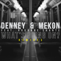 What's Going On? (DJ Haus & Hugo Massien Remix)