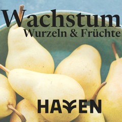 Identität | Wachstum | Römer 8:14-17 | 26.05.24 | Hendrik Röger