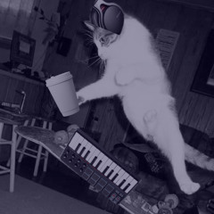 135 bpm - 104TY (Trap)
