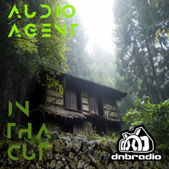 In Tha Cut 205 (DNBRadio 10-12-2025)